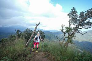 BIB: 
                            <button type="button" onclick="openModal(22372943)" class="btn btn-primary btn-sm float-right btn-popup" data-toggle="modal" data-target=".modal-high-quality">
                        <i class="fas fa-shopping-cart"></i> Add to Cart
                    </button>
                                            <button type="button" onclick="isThisMe(22372943, true)" class="btn btn-success btn-sm float-right btn-popup btn-isme hidden" data-toggle="tooltip" data-placement="bottom" title="นี่คือรูปของคุณใช่ไหม คลิกที่นี่เพื่อเอาเข้าอัลบั้ม">
                        <i class="fas fa-plus"></i> Add to album
                    </button>
                    <button type="button" onclick="isThisMe(22372943, false)" class="btn btn-warning btn-sm float-right btn-popup btn-isnotme hidden">
                        <i class="fas fa-ban"></i> Remove from album
                    </button>